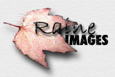 Raine Images Logo